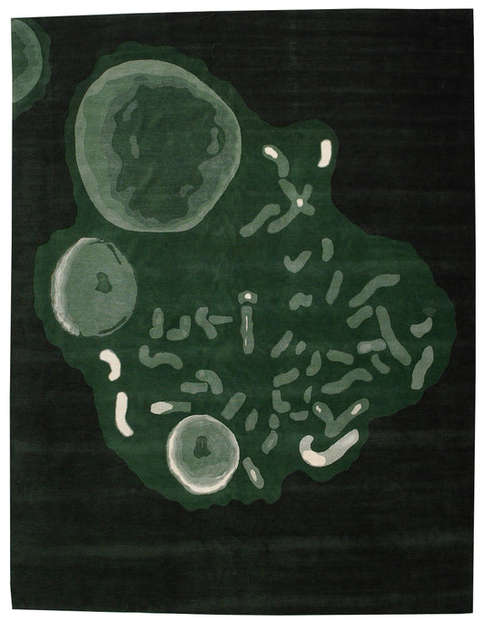 Carpet Chromosome-P - 3 | 405 x 323 cm
