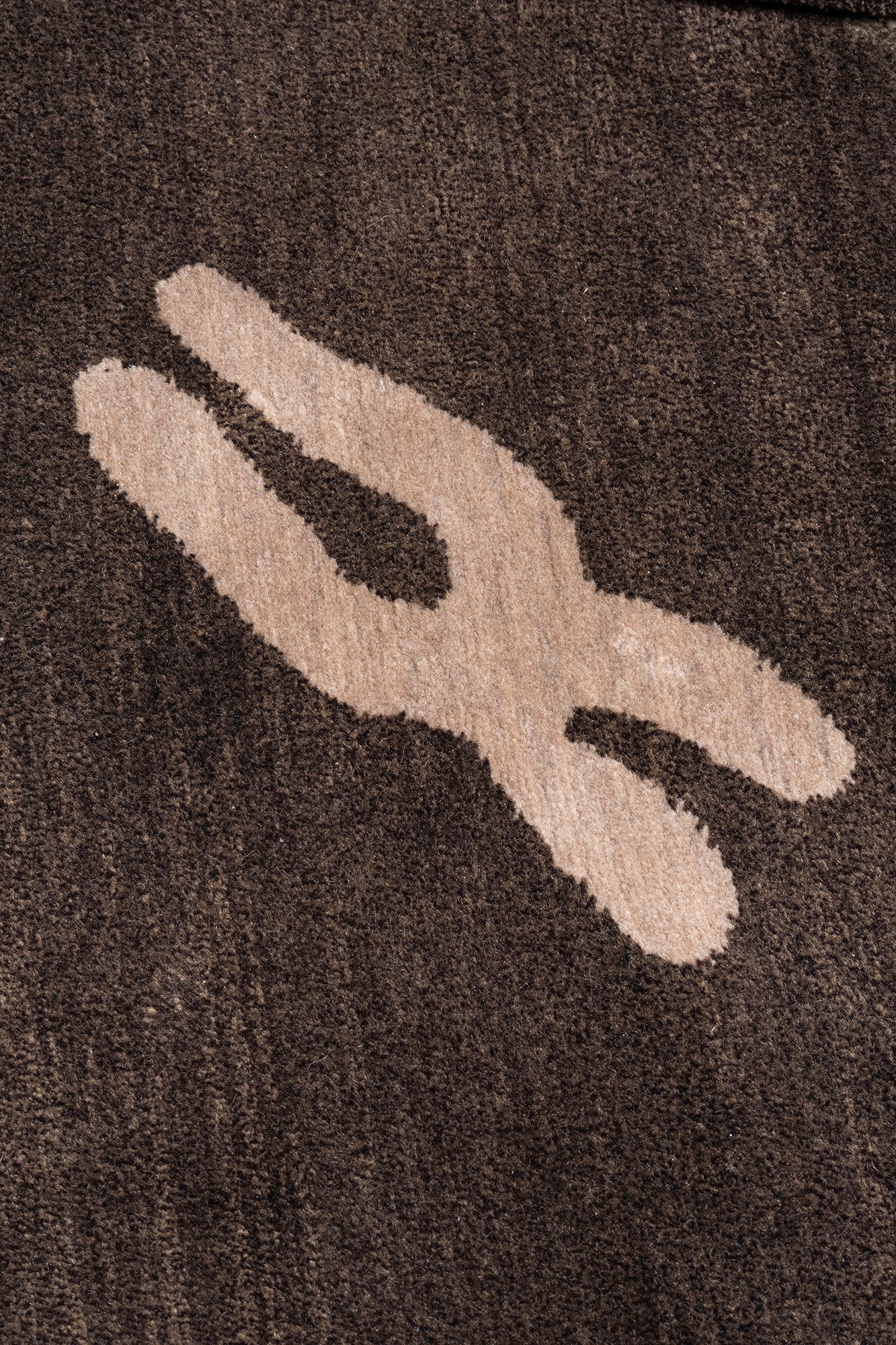 Carpet Chromosome-P | 405 x 323 cm
