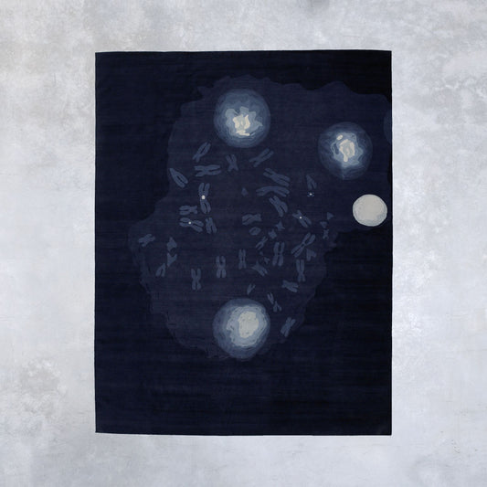 Carpet Chromosome-P -1 | 405 x 323 cm